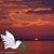 Joan Kavanaugh Piasecki's profile image