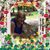 Joanne Selby Seabrease's profile image