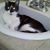 Christine Rokey-Musselman's profile image