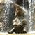 Marlie Scamps's profile image
