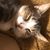 Bob Langan's profile image