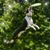 Brenda Brown's profile image