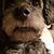 Erin Thompson's profile image