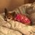 Valinda Clanton Bruce's profile image