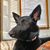 Martha Hartung's profile image