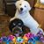 Nancy Deppert's profile image