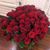 Joyce Haynes's profile image
