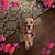 Janine DiPaola's profile image
