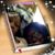 Patricia J Williams's profile image