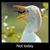 Randy Kimery's profile image