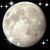 Donna Mccloud's profile image
