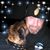 Anthony Severio Carozzolo Jr.'s profile image