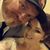 Lauren Michelle Stauffer's profile image