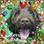 Sue Nagle's profile image