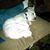 Linda Langley's profile image