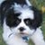Jane Dimpel's profile image