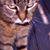 Paul Menkes's profile image