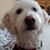 Jill Braatz's profile image