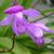 Emily DeVall's profile image