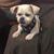 Regan Smith's profile image