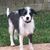Mj Hirt's profile image