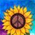 Leesa Wilson's profile image