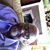 Romaine Harris's profile image