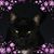 Vicki L Pratt's profile image