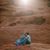 Maria Elena Sbragia-Vanhart's profile image
