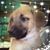Peg Buckmaster's profile image
