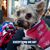 Chris Silva's profile image