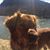 Jayne Van Loon's profile image