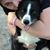 Johanne Williams's profile image