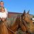 Diane Shute's profile image