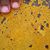 Laura Luecke Garvey's profile image