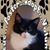 Karen Zatoonian Himmel's profile image