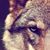 Kia Trammell's profile image