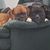 Nancy Henning Corazalla's profile image
