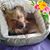 Sue Blaauw's profile image