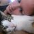 Mary Beth Ashworth's profile image