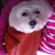 Judy Brittney's profile image