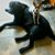 Jenny Ellis's profile image