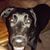Stacy Martin's profile image