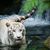 Marjorie Schuetz's profile image