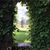 MaryAnn Purtill's profile image
