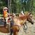 Cindy Shutler's profile image