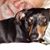 Jan Smith's profile image