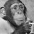 Joe Love's profile image