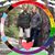 Kelly Canner Pagano's profile image