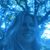 Patti Sawyer's profile image